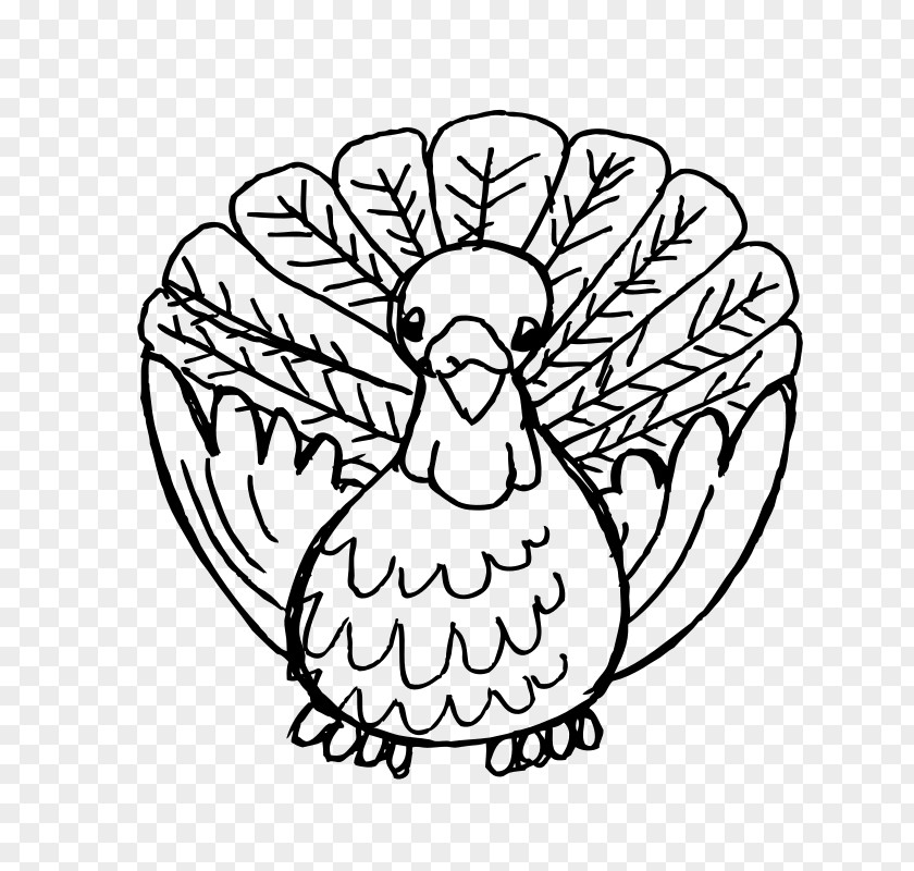 Turkey Line Art Thanksgiving Black And White Meat Clip PNG