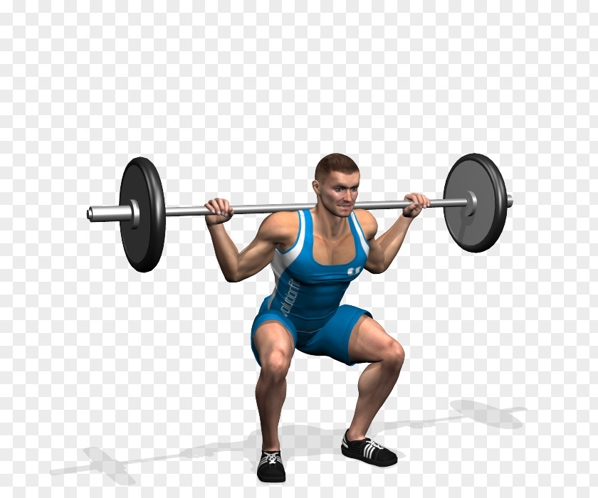 Barbell Powerlifting Squat Weight Training Quadriceps Femoris Muscle PNG