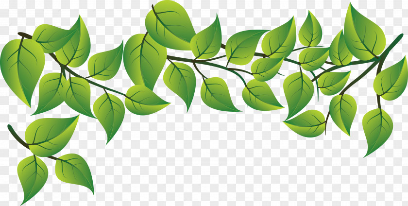 Fashion Fresh Green Leaves Vector Leaf PNG
