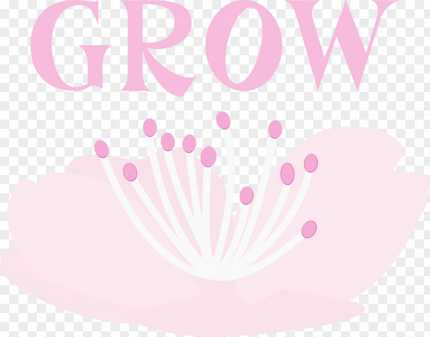 Petal Flower Font Meter PNG