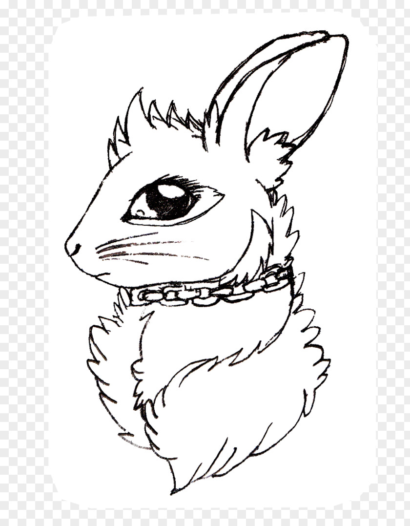 Whiskers Domestic Rabbit Hare Line Art Drawing PNG