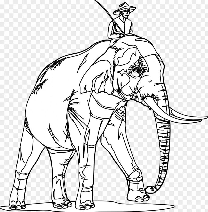 Ant Line Art Indian Elephant Black And White Danse Macabre Drawing PNG