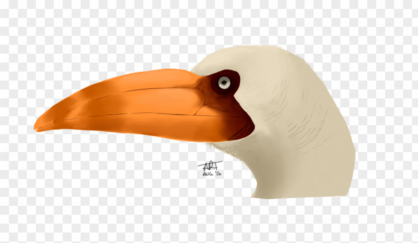Bird Dinosaur Ramphastosula Miocene Beak PNG