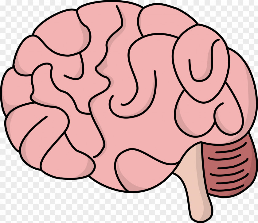 Brain Cliparts Transparent Human Free Content Clip Art PNG