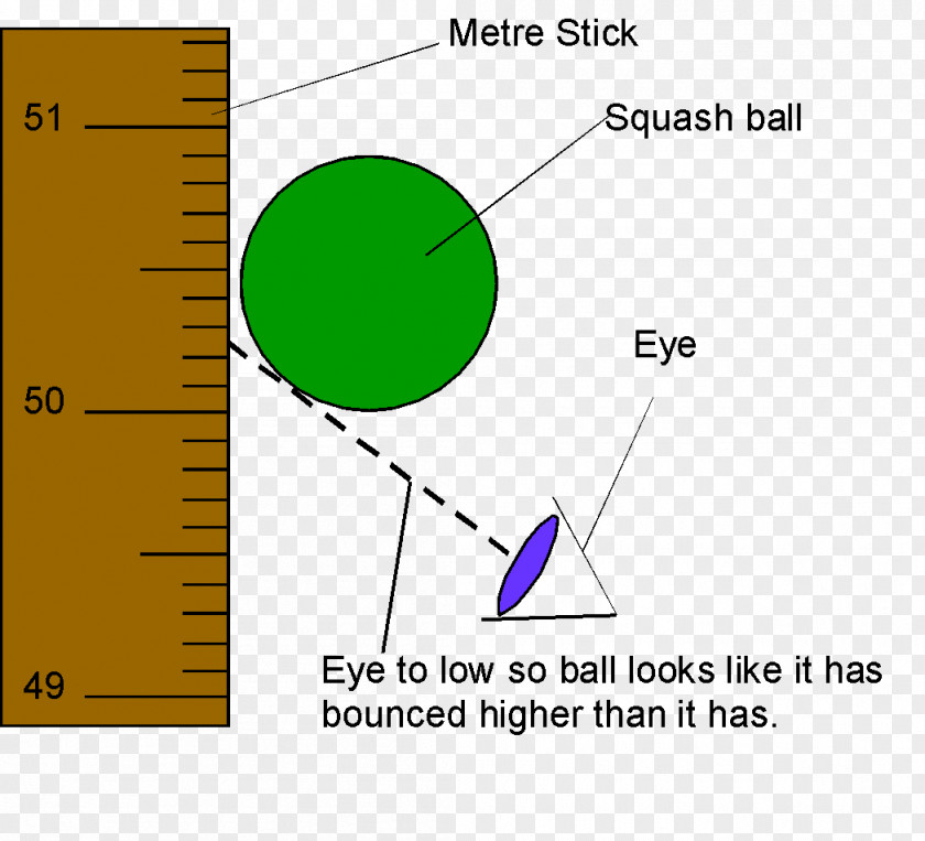 Force And Motion Experimental Physics Bouncing Ball Essay PNG