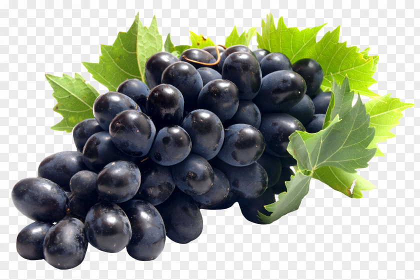 Grape Vine Common Juice Clip Art PNG