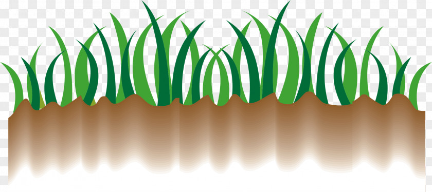 Grass Vector Material PNG