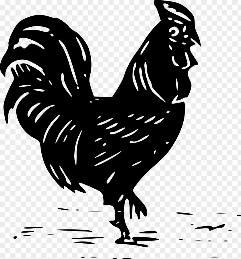 Hen Cochin Chicken Rooster Silhouette Clip Art PNG