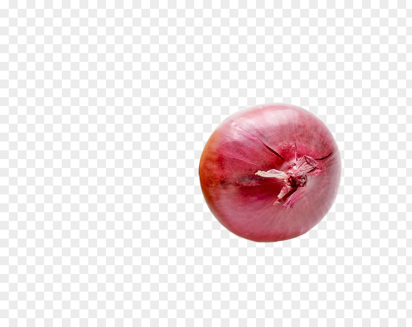 Onion French Soup Organic Food Vegetable PNG