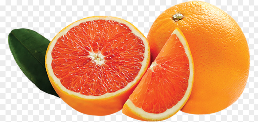 Orange Cara Navel Mandarin Grapefruit Pomelo PNG