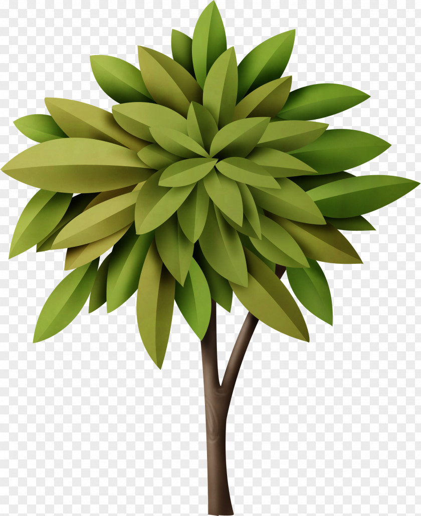Plant Background Potted Clip Art Vector Graphics Illustration Image PNG