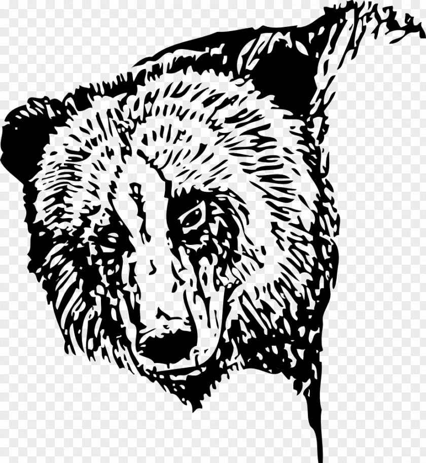 Bear American Black Polar Brown Clip Art PNG