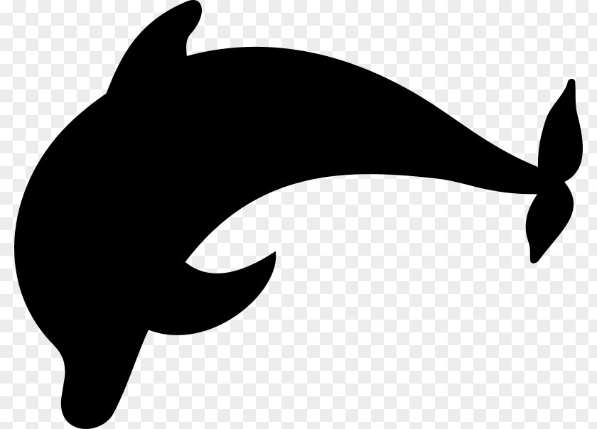 Dolphin Clip Art PNG