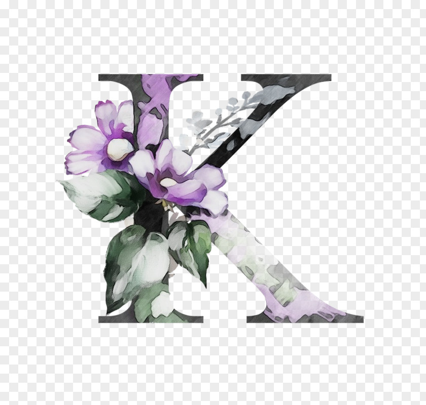 Flowering Plant Petal Lavender PNG