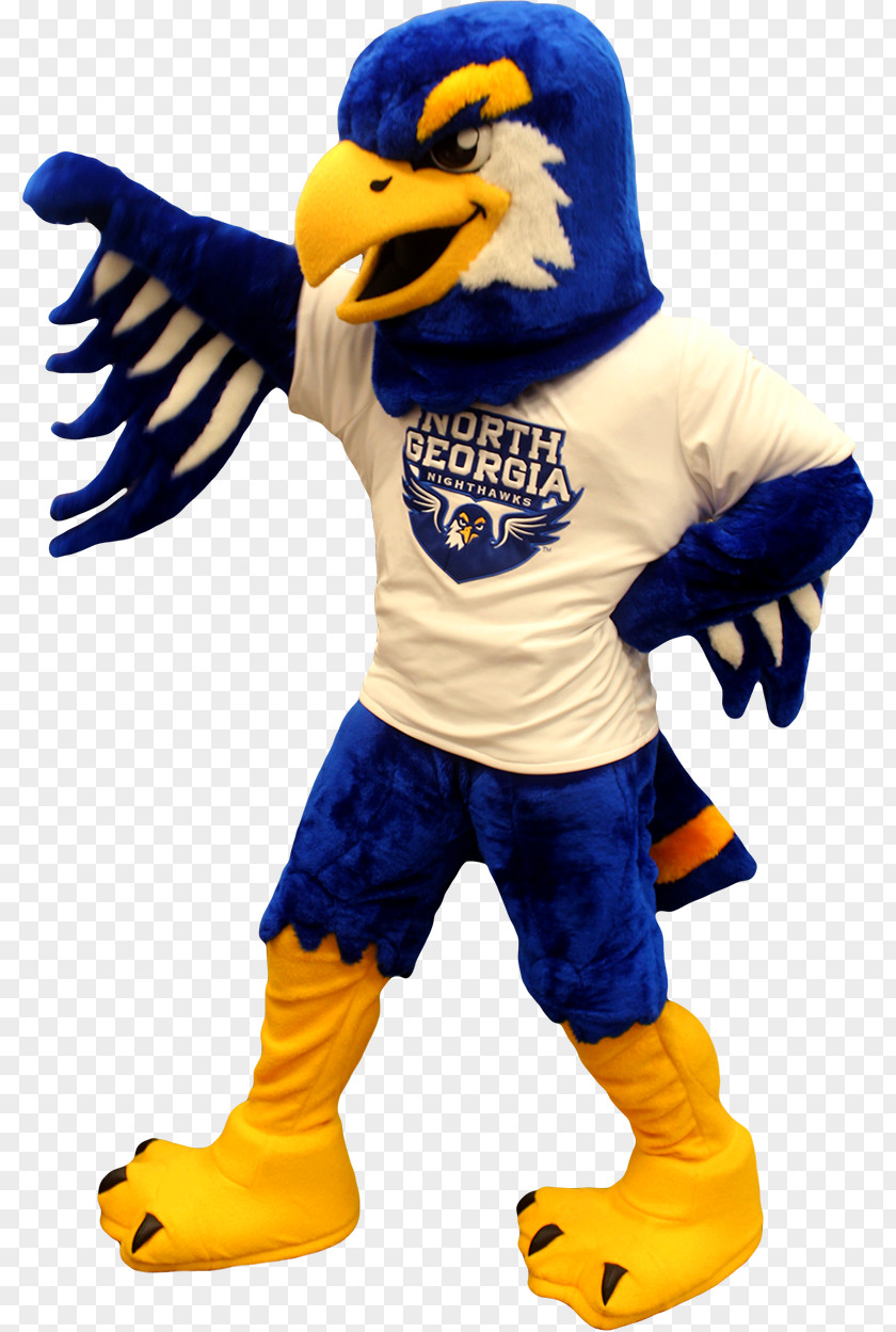 Graduation Campus University Of North Georgia Blue Ridge Nighthawks Men's Basketball Mascot PNG