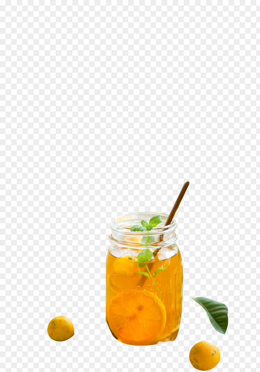 Kumquat Lemon Water Caipirinha Juice Orange Drink Cocktail Garnish Punch PNG