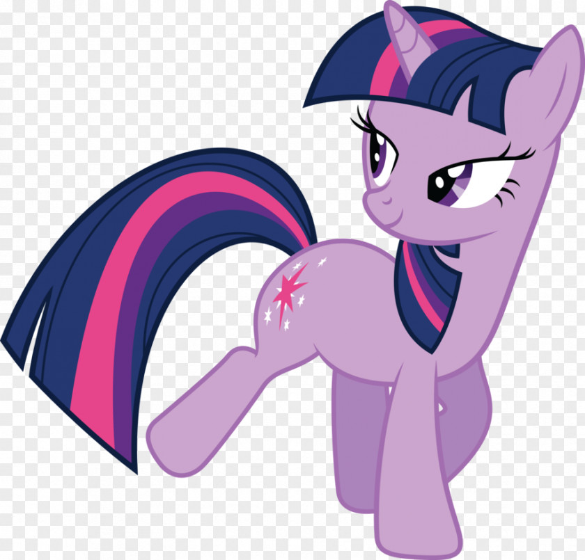 Cat Twilight Sparkle Pony Canterlot DeviantArt PNG