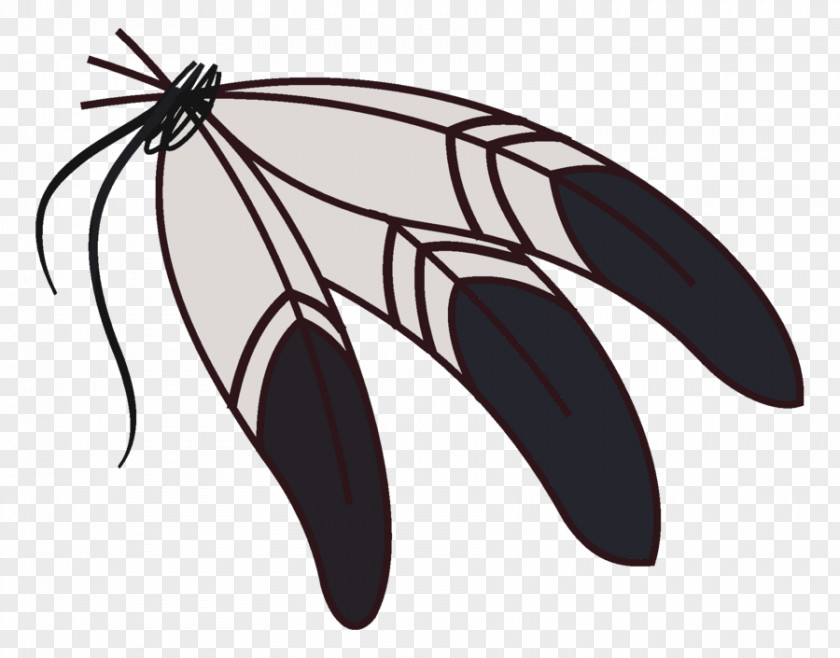 Fish Bowl Eagle Feather Law Clip Art PNG