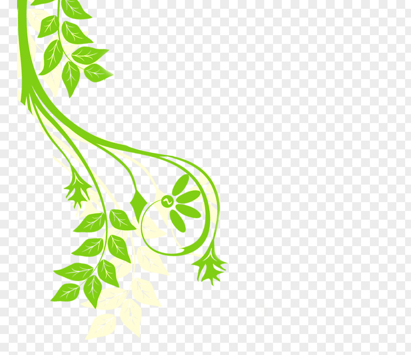 Fresh Green Der Späte Frühling Plant Stem Leaf Flower Clip Art PNG