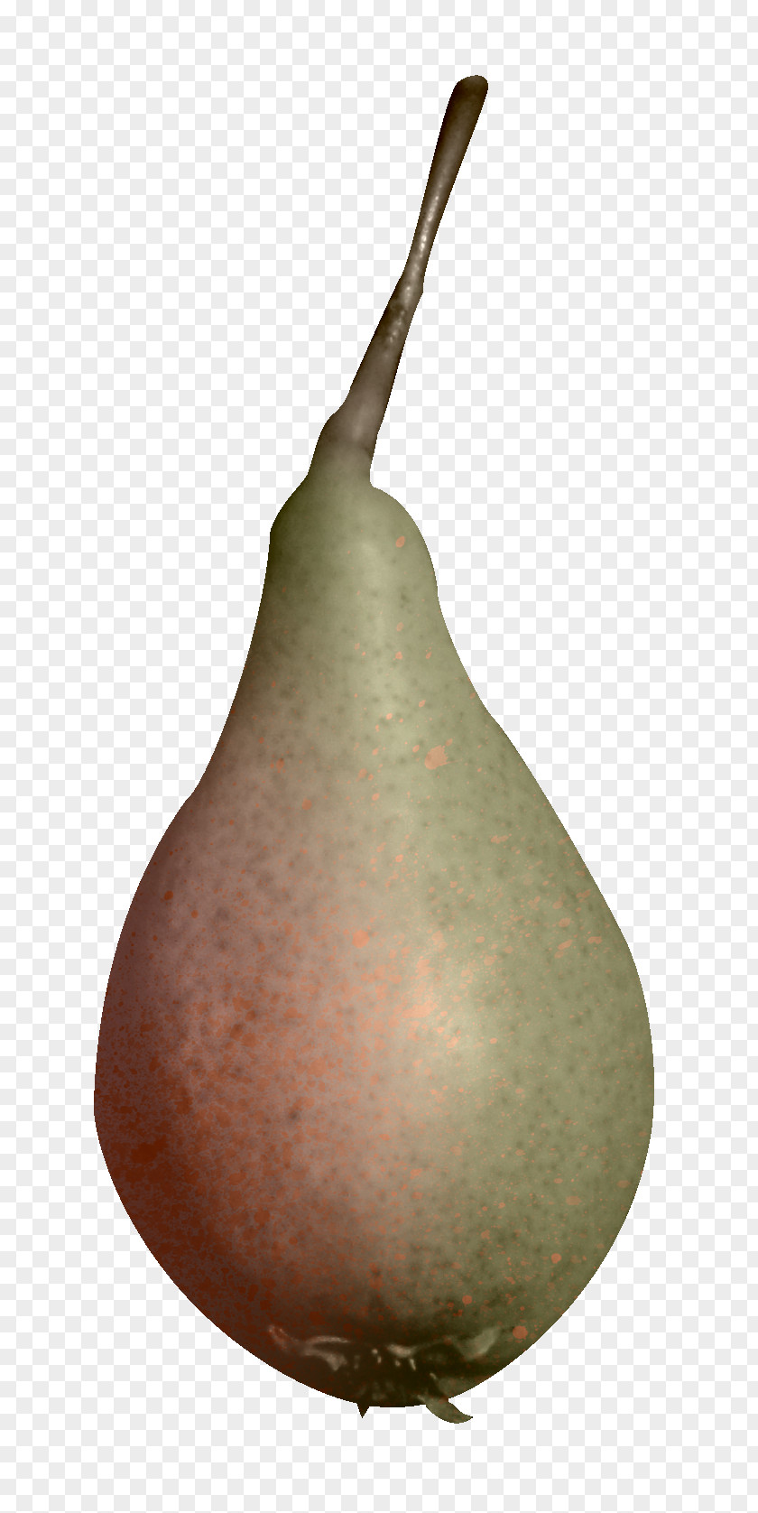 Pear European Fruit PNG
