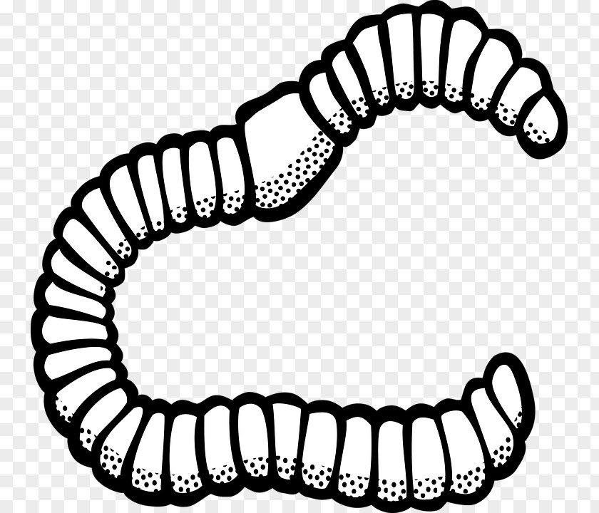 Worm Royalty-free Clip Art PNG