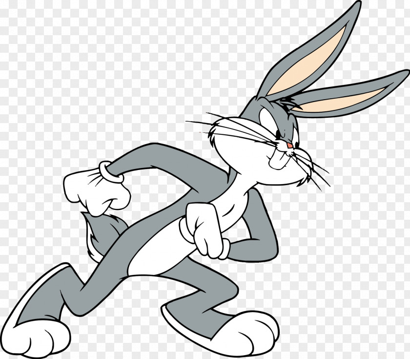 Bugs Bunny In Double Trouble Elmer Fudd Looney Tunes Donald Duck PNG