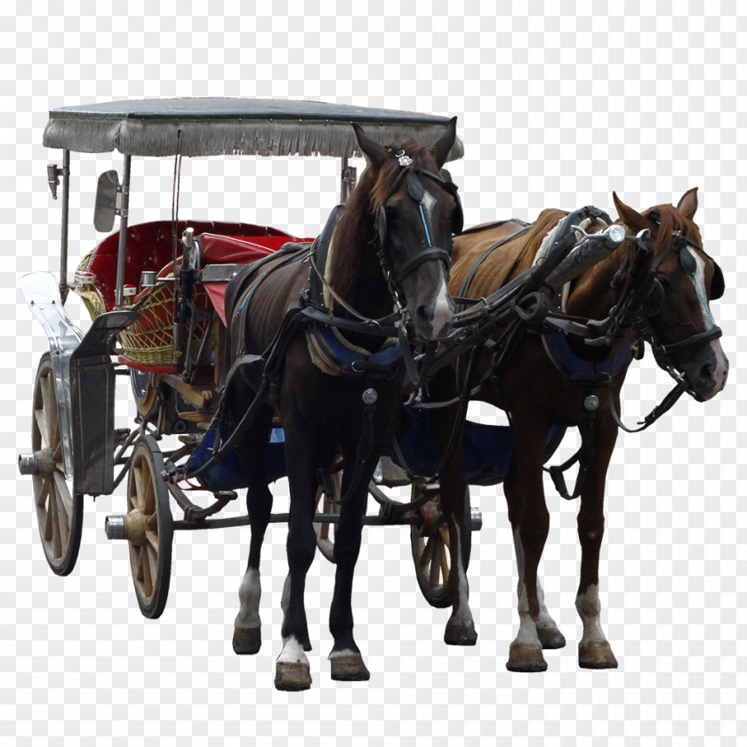 Carriage Horse Mule Harnesses And Buggy PNG