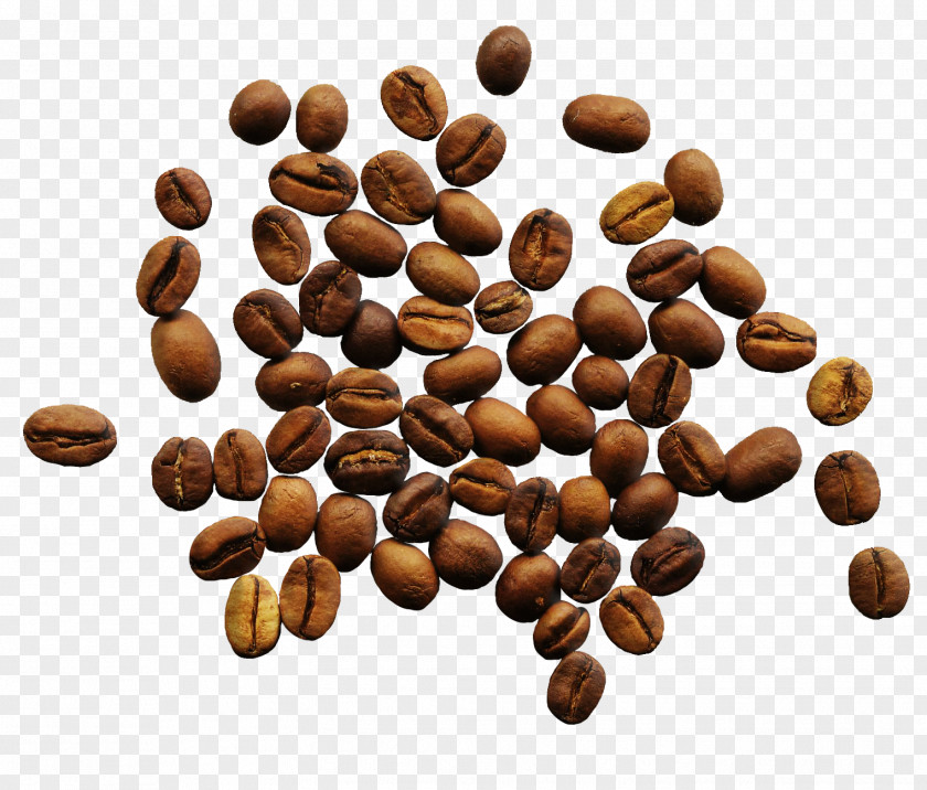 Coffee Beans Jamaican Blue Mountain Espresso Single-origin Bean PNG