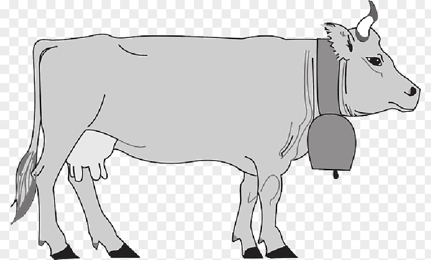 Farm Cow Hungarian Grey Murray Cattle Calf Clip Art PNG