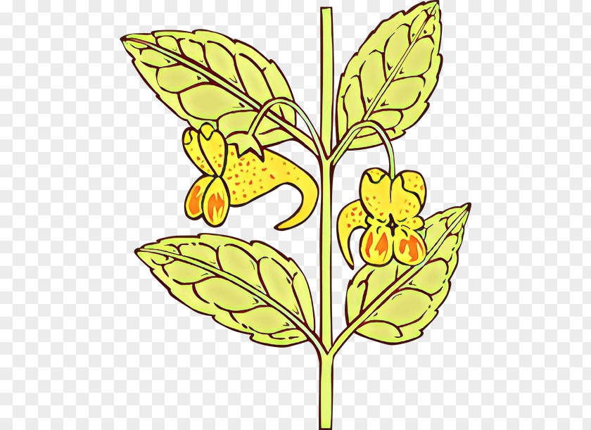 Leaf Flower Plant Yellow Pedicel PNG
