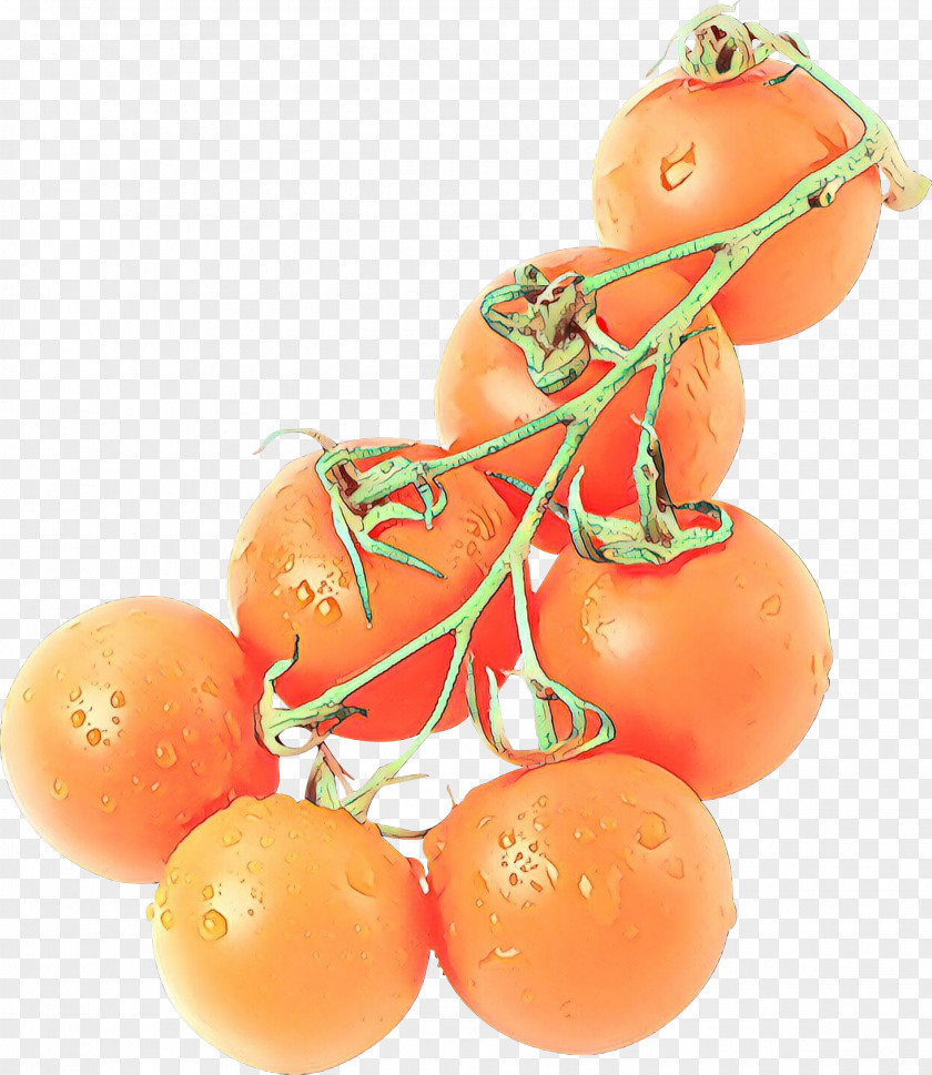 Orange PNG