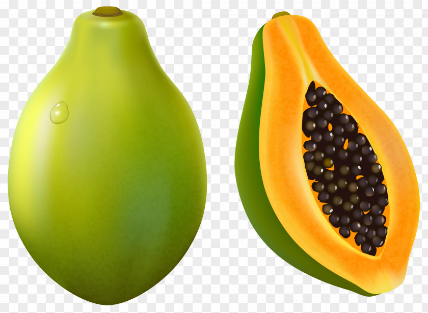 Papaya Vector Clipart Image Clip Art PNG