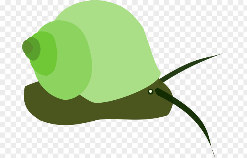 Snail Sea Drawing Mollusc Shell Common Periwinkle PNG