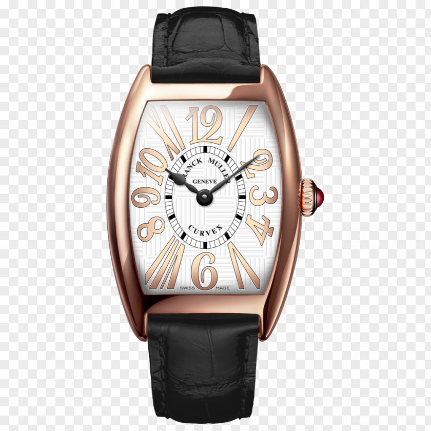 Watch Clock Omega SA Швейцарские часы Alan Furman & Co PNG