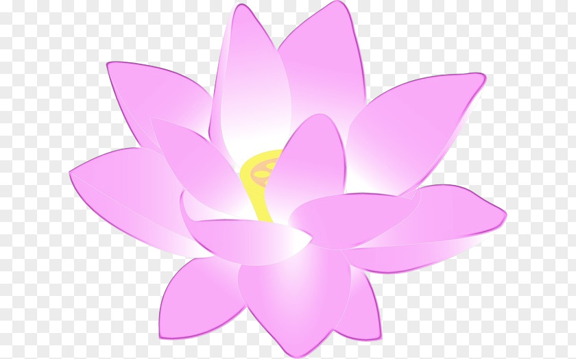 Wildflower Crocus Pink Flower Cartoon PNG