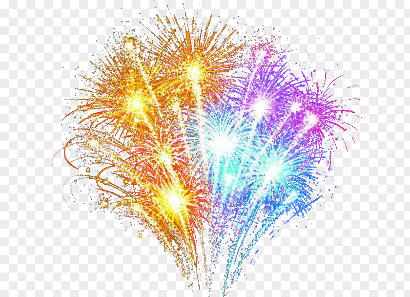Beautiful Colorful Fireworks Adobe PNG