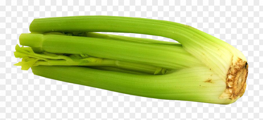 Celery Vegetable Food Eating Disease PNG