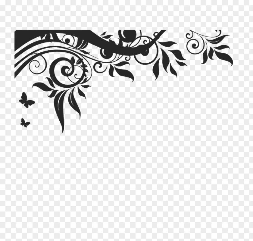 Empty Motif Image Drawing PNG