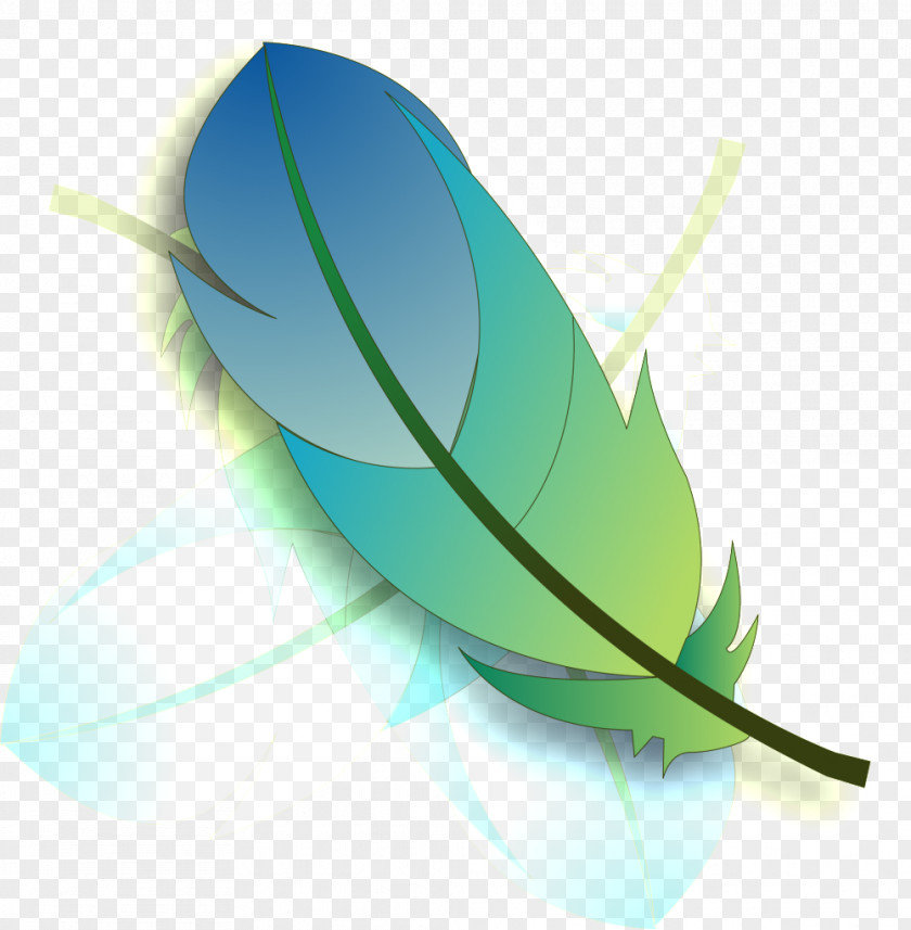 Feather Icon Adobe Photoshop Image Desktop Wallpaper PNG
