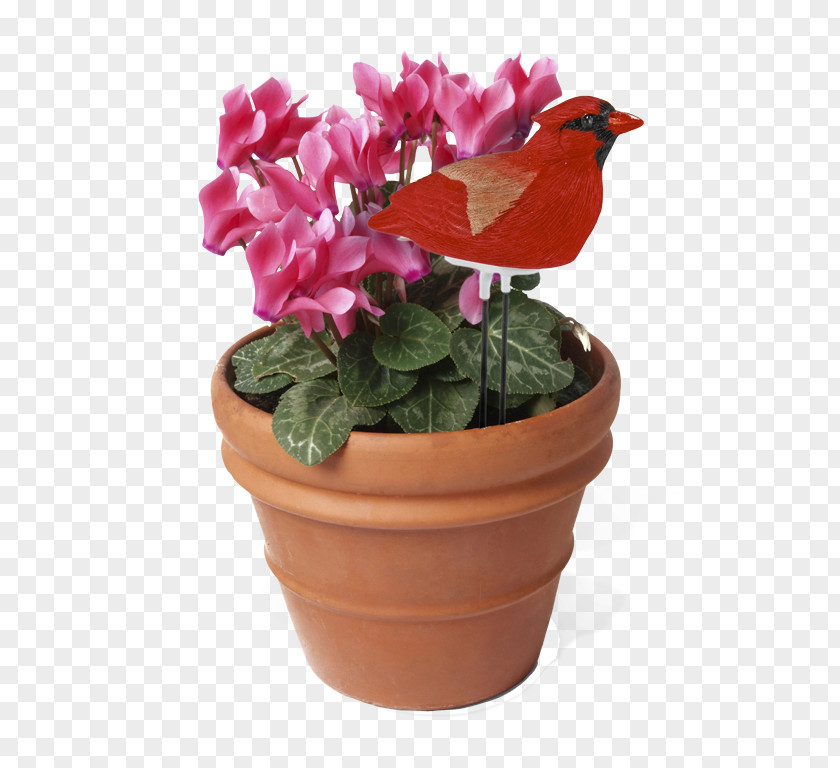 Flower Pot Houseplant Flowerpot Watering Cans PNG