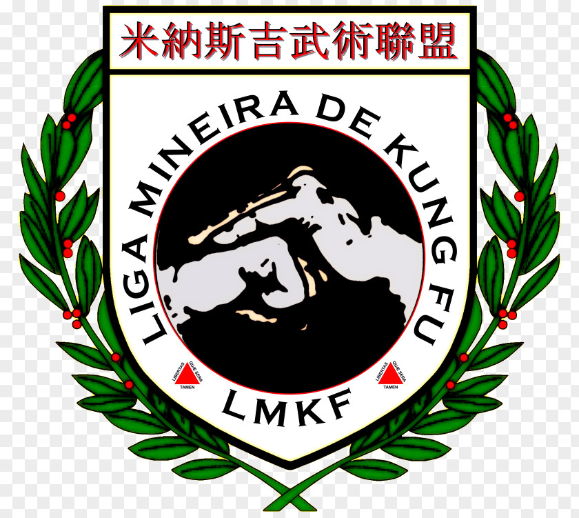 Kungfu Liga Nacional De Kung Fu Chinese Martial Arts Tai Lung Paulista PNG