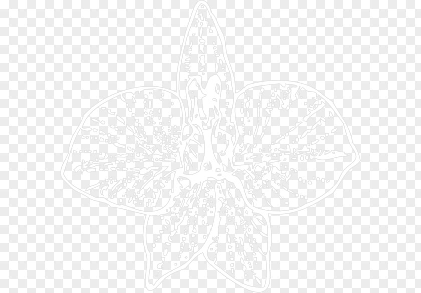 Line Pattern Symmetry Symbol Leaf PNG