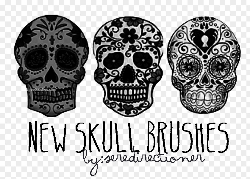 Skull Calavera Flower Day Of The Dead PNG