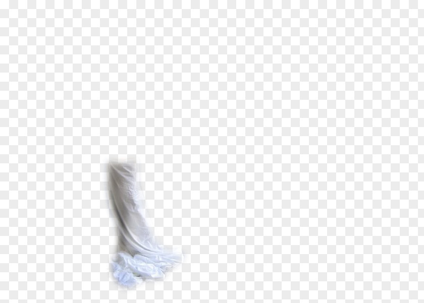 Swan Dance Shoe Neck Feather PNG