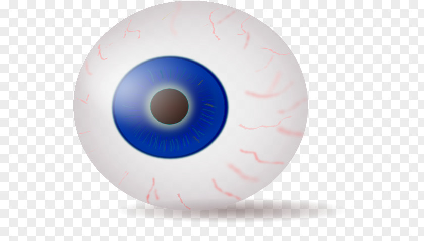 Cartoon Eyeball Images Human Eye Iris Clip Art PNG