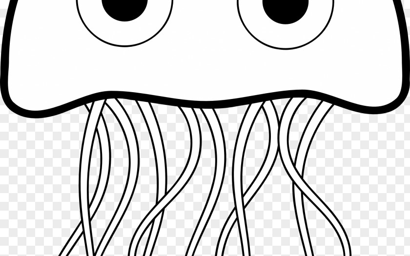 Color Jellyfish Box Coloring Book Sea Anemones And Corals PNG