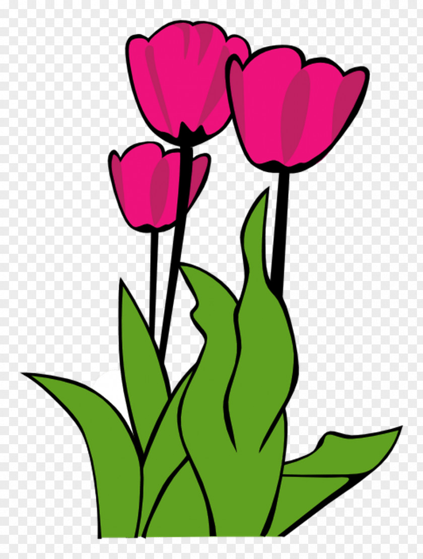 Tulip Clip Art Openclipart Image Flower PNG