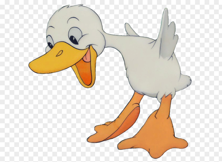 Duck The Ugly Duckling Mallard Clip Art PNG