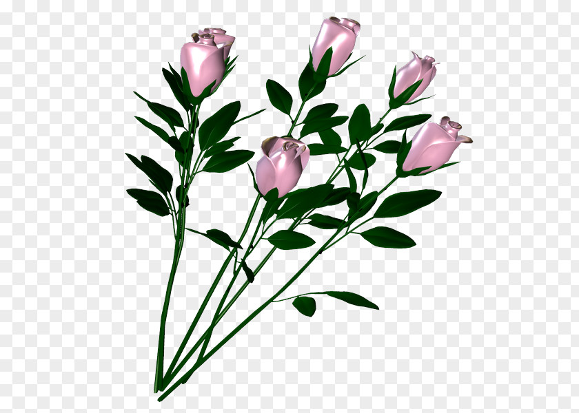 Flower Drawing Design Painting PNG