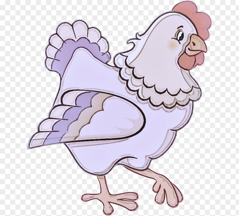 Rooster Animal Figure Bird Chicken Clip Art Beak Cartoon PNG